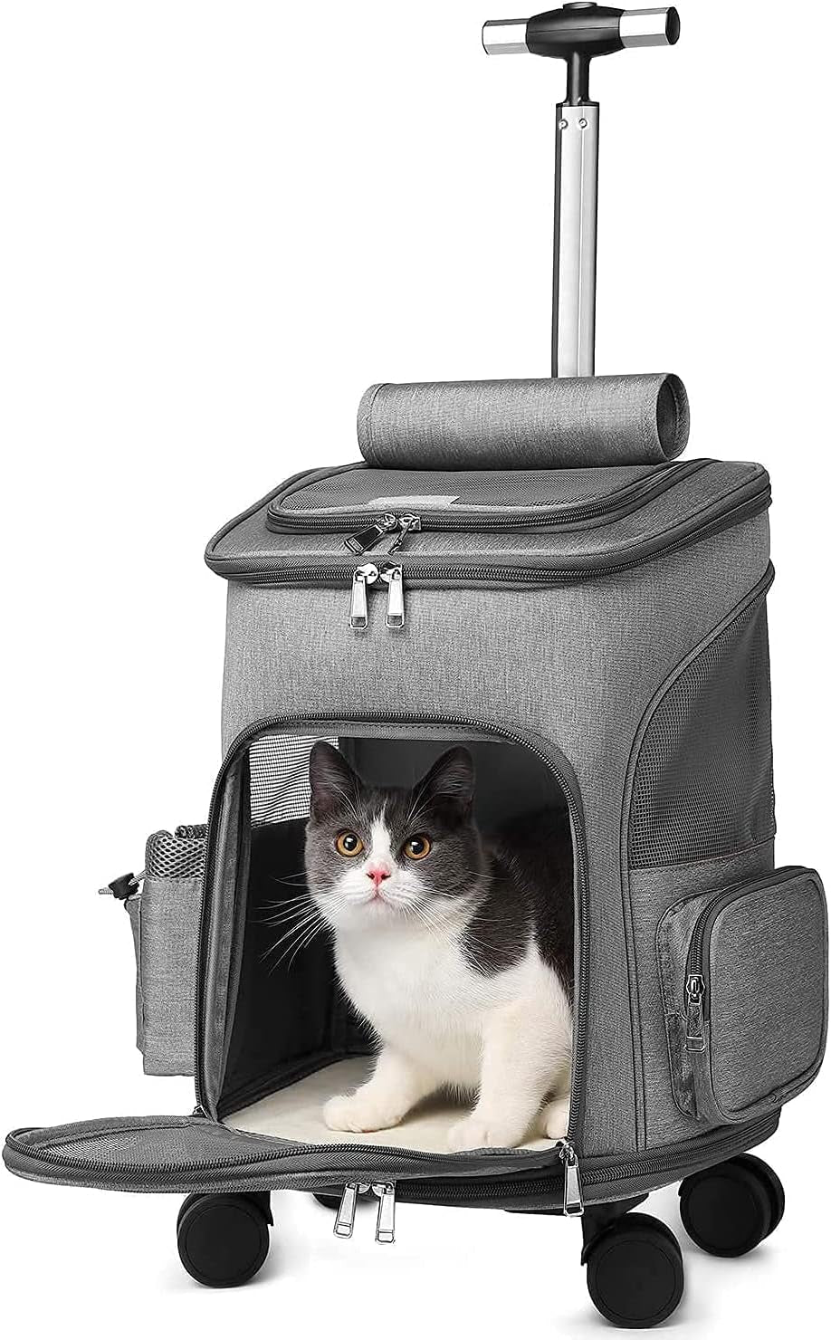 "Purr-fectly Pampered: Pet Care Essentials"