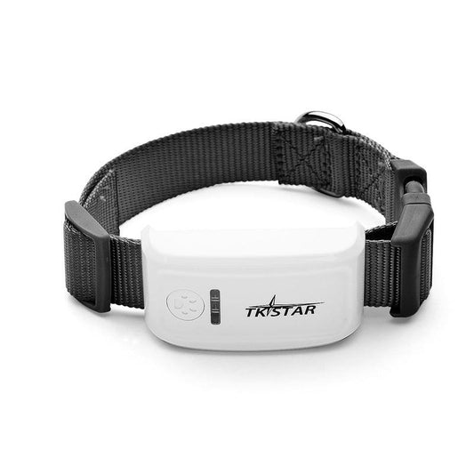 **PetTrack GPS: Advanced Pet tracker to Keep Your Furry Friends Safe and Always Within Reach!**