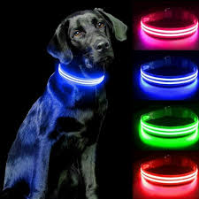 **Brightest LED Dog Collar – USB Rechargeable, Waterproof, 1,000 Feet Visibility, Original Light-Up Design for Night Walks | USA Brand**